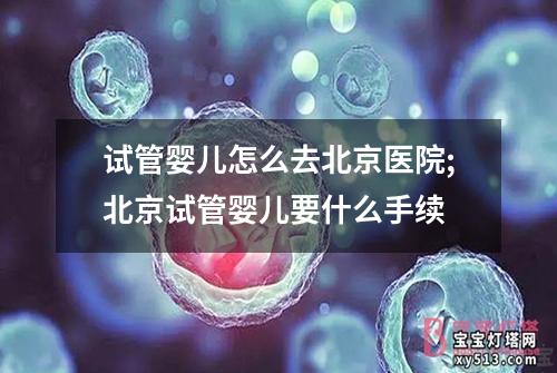 试管婴儿怎么去北京医院;北京试管婴儿要什么手续