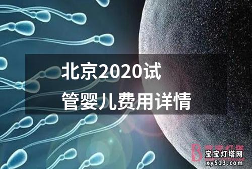 北京2020试管婴儿费用详情