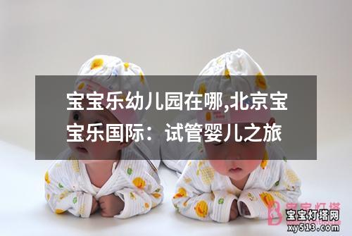 宝宝乐幼儿园在哪,北京宝宝乐国际：试管婴儿之旅