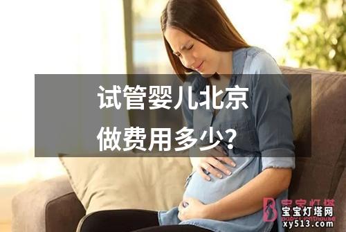 试管婴儿北京做费用多少？