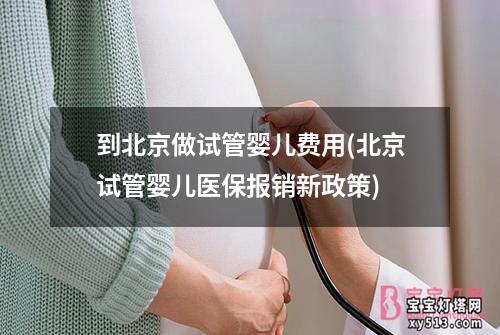 到北京做试管婴儿费用(北京试管婴儿医保报销新政策)