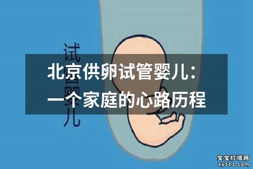 北京供卵试管婴儿：一个家庭的心路历程