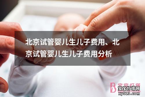 北京试管婴儿生儿子费用、北京试管婴儿生儿子费用分析