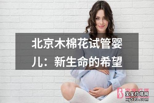 北京木棉花试管婴儿：新生命的希望