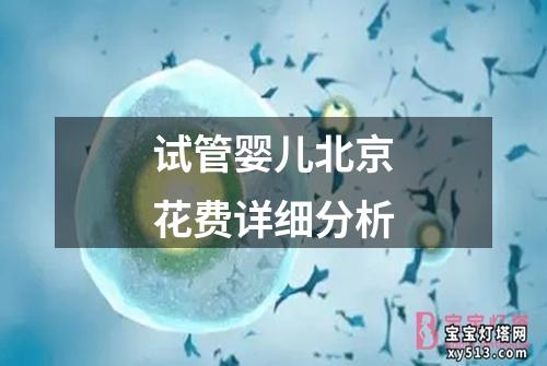 试管婴儿北京花费详细分析