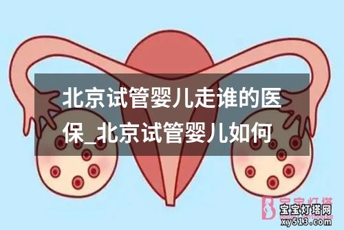 北京试管婴儿走谁的医保_北京试管婴儿如何