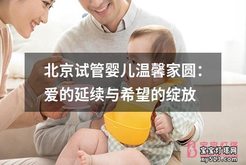 北京试管婴儿温馨家圆：爱的延续与希望的绽放