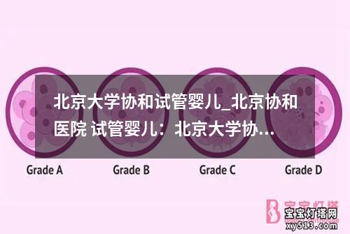 北京大学协和试管婴儿_北京协和医院 试管婴儿：北京大学协和试管婴儿：医学科技与生命奇迹