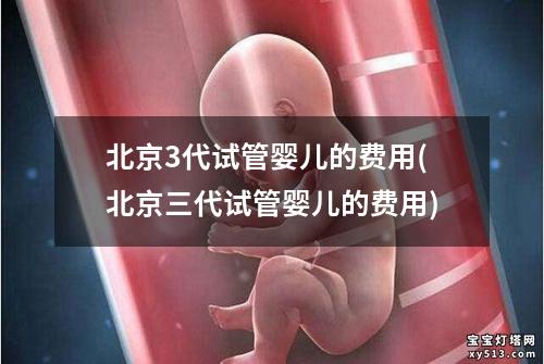 北京3代试管婴儿的费用(北京三代试管婴儿的费用)