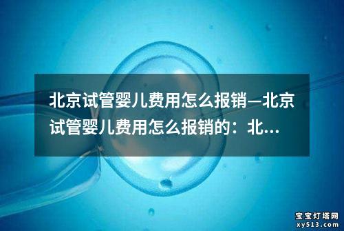 北京试管婴儿费用怎么报销—北京试管婴儿费用怎么报销的：北京试管婴儿费用报销攻略