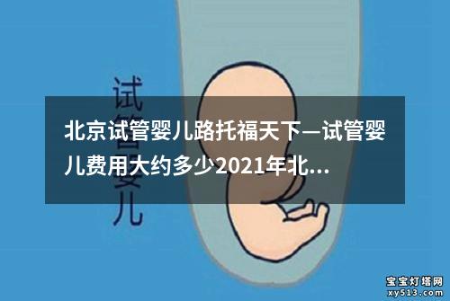 北京试管婴儿路托福天下—试管婴儿费用大约多少2021年北京