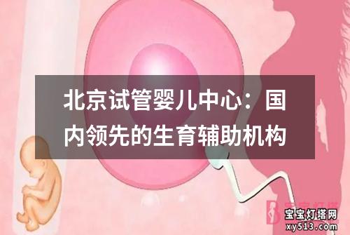 北京试管婴儿中心：国内领先的生育辅助机构