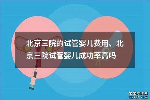 北京三院的试管婴儿费用、北京三院试管婴儿成功率高吗