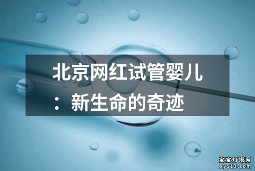 北京网红试管婴儿：新生命的奇迹