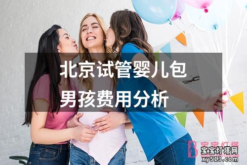 北京试管婴儿包男孩费用分析