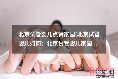 北京试管婴儿点赞家园(北京试管婴儿如何：北京试管婴儿家园：新生命的温暖港湾)