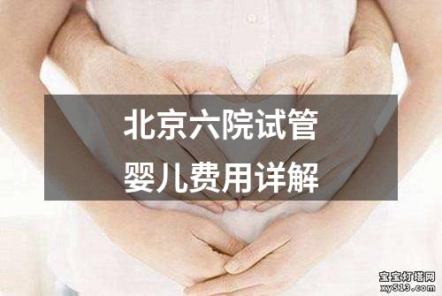 北京六院试管婴儿费用详解