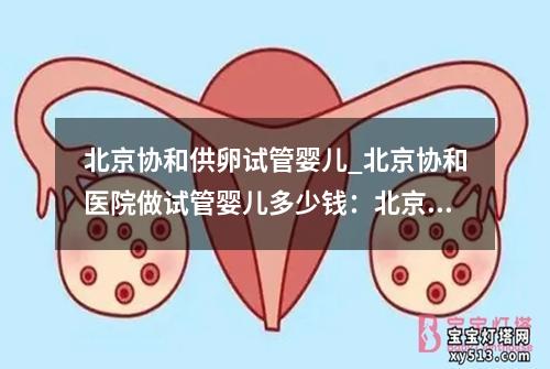 北京协和供卵试管婴儿_北京协和医院做试管婴儿多少钱：北京协和：供卵试管婴儿中心