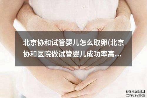 北京协和试管婴儿怎么取卵(北京协和医院做试管婴儿成功率高吗)