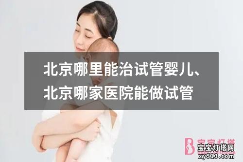 北京哪里能治试管婴儿、北京哪家医院能做试管