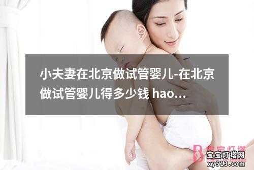 小夫妻在北京做试管婴儿-在北京做试管婴儿得多少钱 haoyun：北京小夫妻：试管婴儿求子之路