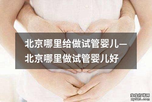 北京哪里给做试管婴儿—北京哪里做试管婴儿好