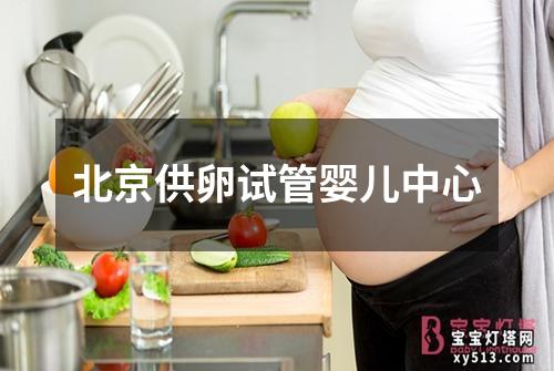 北京供卵试管婴儿中心