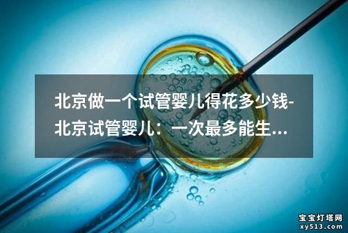 北京做一个试管婴儿得花多少钱-北京试管婴儿：一次最多能生几胎？