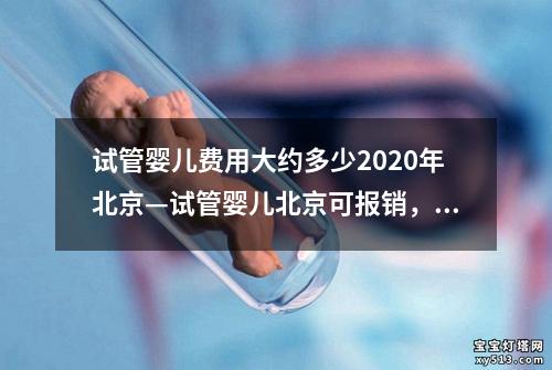 试管婴儿费用大约多少2020年北京—试管婴儿北京可报销，助力家庭梦想