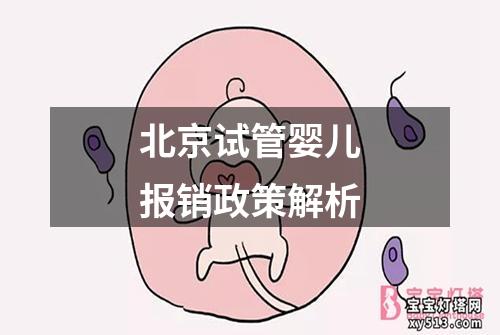 北京试管婴儿报销政策解析