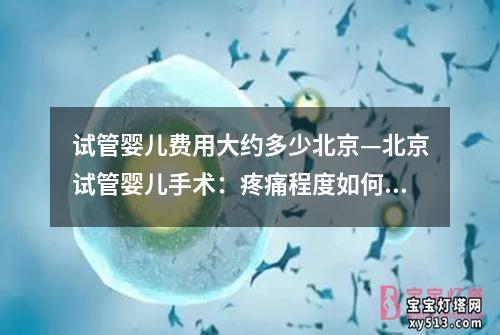 试管婴儿费用大约多少北京—北京试管婴儿手术：疼痛程度如何？