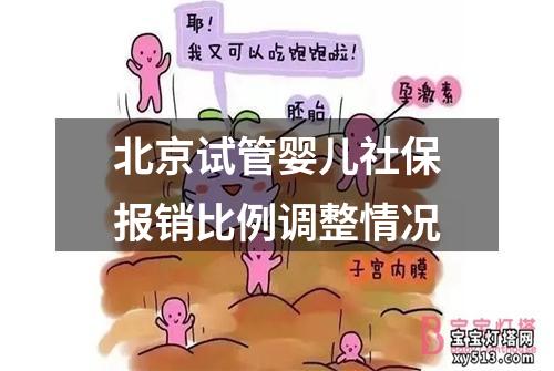 北京试管婴儿社保报销比例调整情况