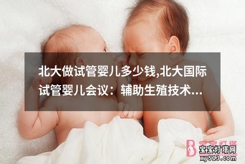 北大做试管婴儿多少钱,北大国际试管婴儿会议：辅助生殖技术与医学讨论