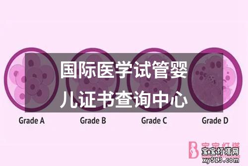 国际医学试管婴儿证书查询中心