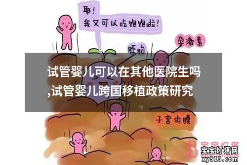 试管婴儿可以在其他医院生吗,试管婴儿跨国移植政策研究