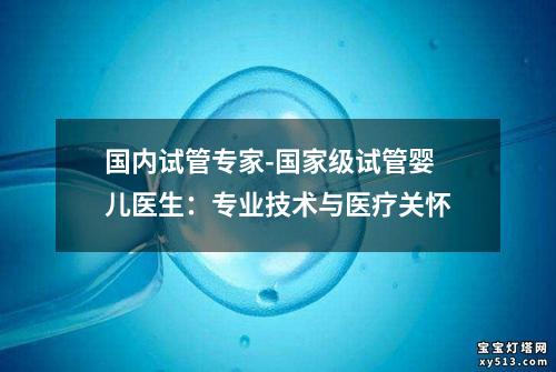 国内试管专家-国家级试管婴儿医生：专业技术与医疗关怀