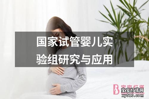 国家试管婴儿实验组研究与应用