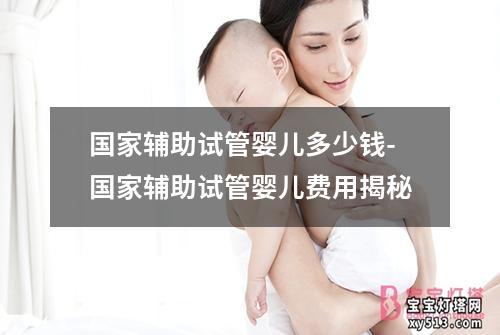 国家辅助试管婴儿多少钱-国家辅助试管婴儿费用揭秘