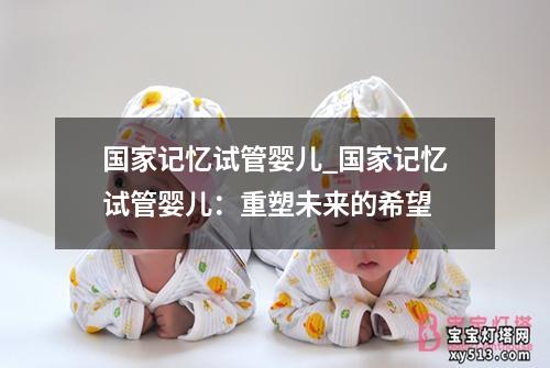 国家记忆试管婴儿_国家记忆试管婴儿：重塑未来的希望