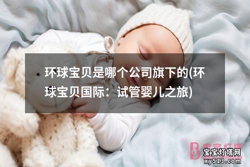 环球宝贝是哪个公司旗下的(环球宝贝国际：试管婴儿之旅)