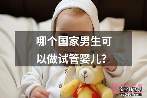 哪个国家男生可以做试管婴儿？