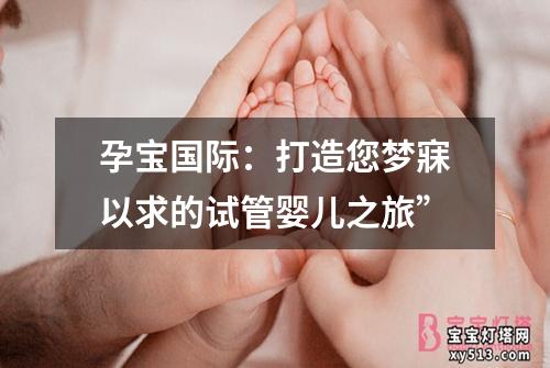 孕宝国际：打造您梦寐以求的试管婴儿之旅”