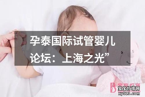 孕泰国际试管婴儿论坛：上海之光”