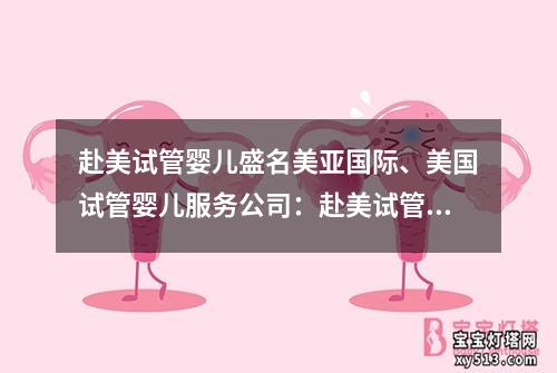 赴美试管婴儿盛名美亚国际、美国试管婴儿服务公司：赴美试管婴儿盛名美亚国际