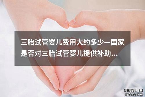 三胎试管婴儿费用大约多少—国家是否对三胎试管婴儿提供补助？