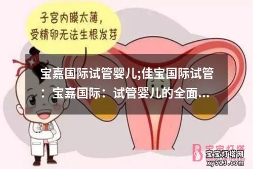 宝嘉国际试管婴儿;佳宝国际试管：宝嘉国际：试管婴儿的全面解读