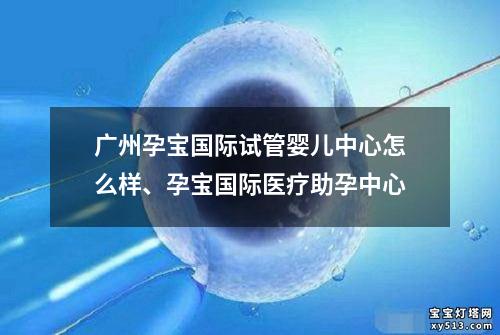 广州孕宝国际试管婴儿中心怎么样、孕宝国际医疗助孕中心