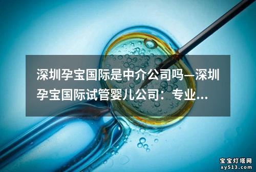 深圳孕宝国际是中介公司吗—深圳孕宝国际试管婴儿公司：专业助您圆梦生育