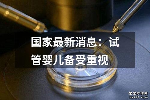 国家最新消息：试管婴儿备受重视