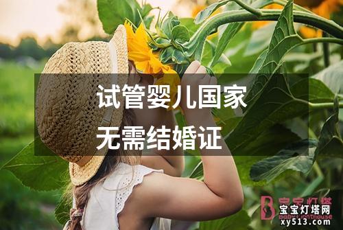 试管婴儿国家无需结婚证